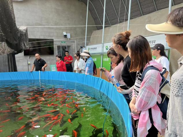 27263ddcd25bbacb771b4cc66285641