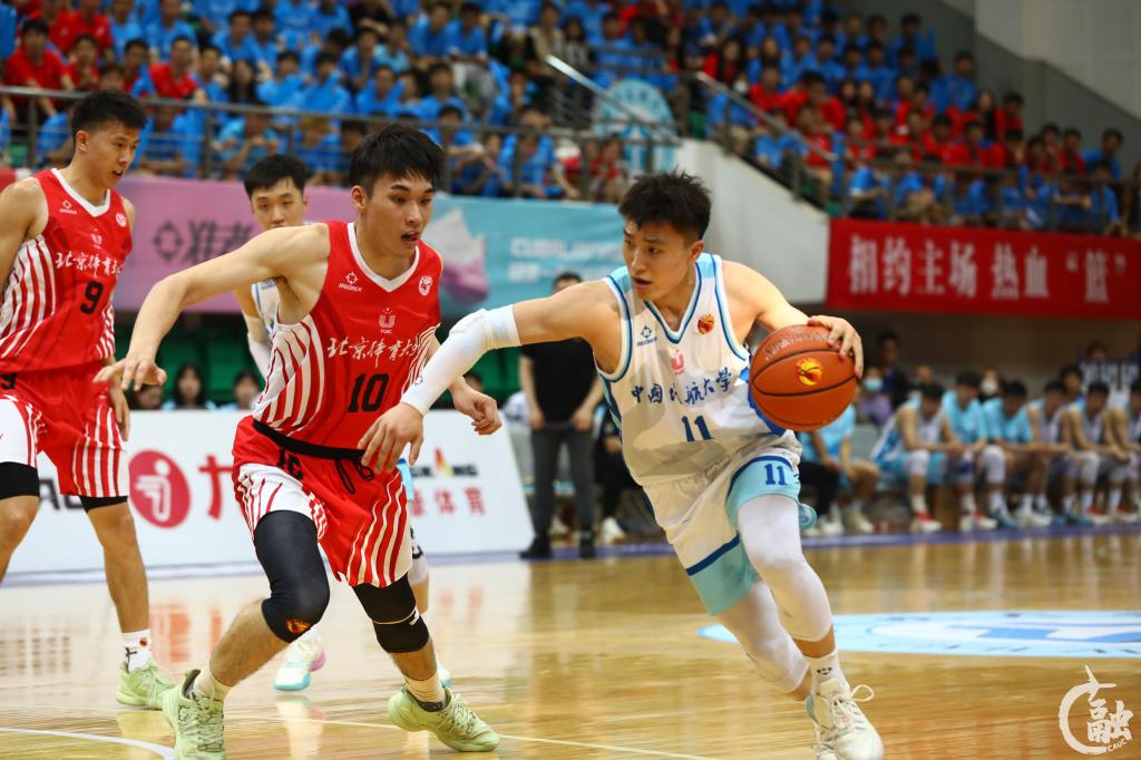 摄影 周晓燕 2023年6月2日 (3).jpg